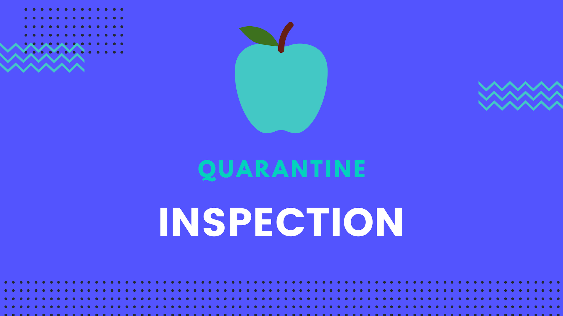 Quarantine Inspection