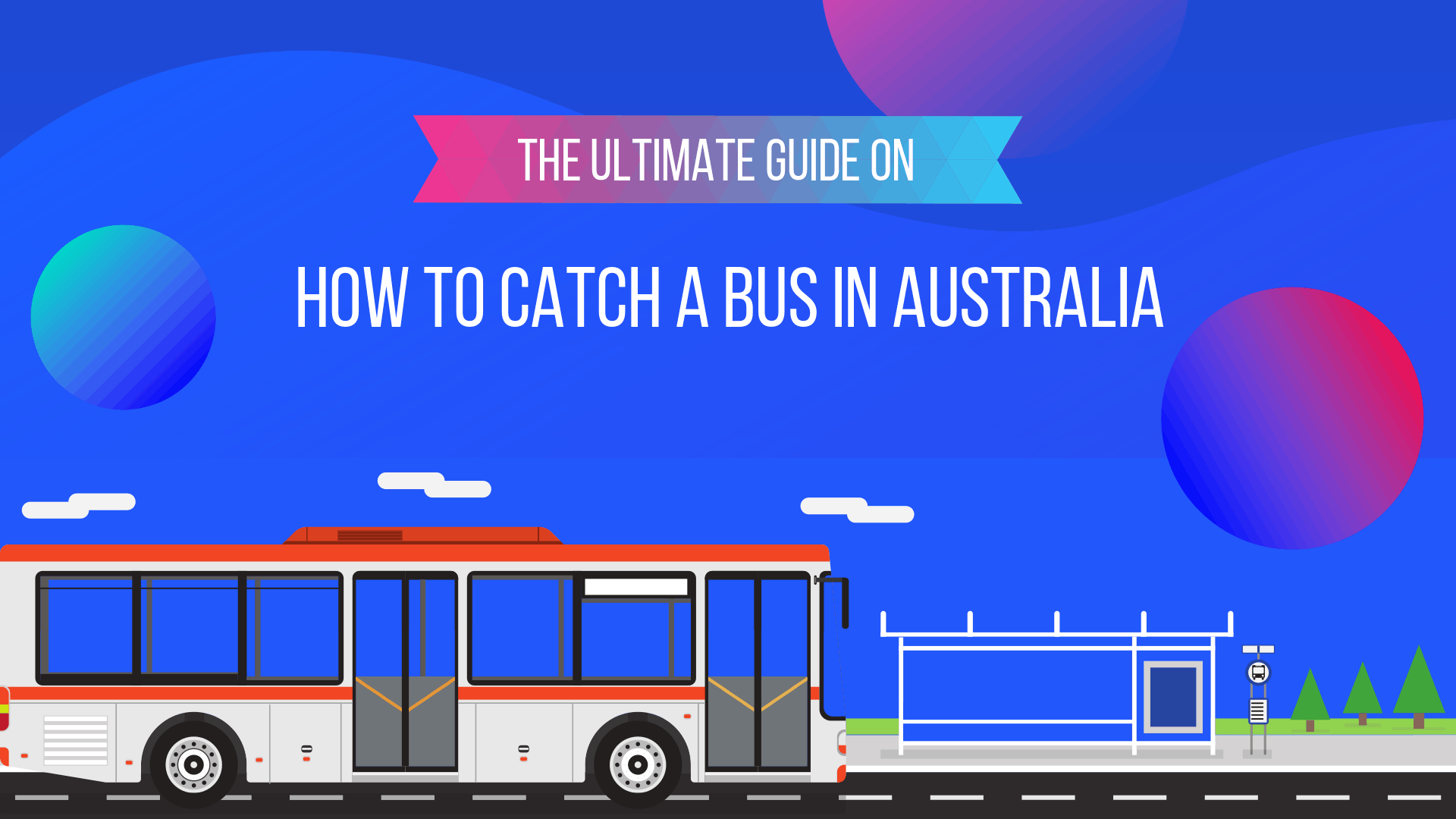 The ultimate guide on how to catch a bus